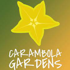 Experience Carambola